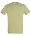 11380 Regent T-shirt green sage colour image